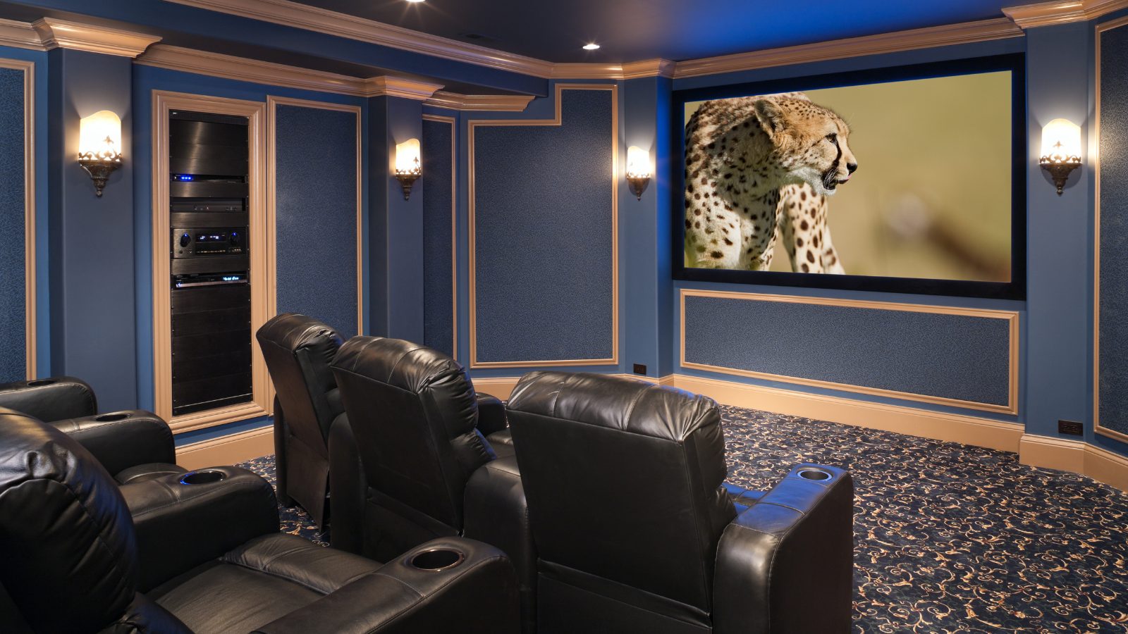 Home theatre systems representing Audio Entertainment, one of DSM's industry markets.