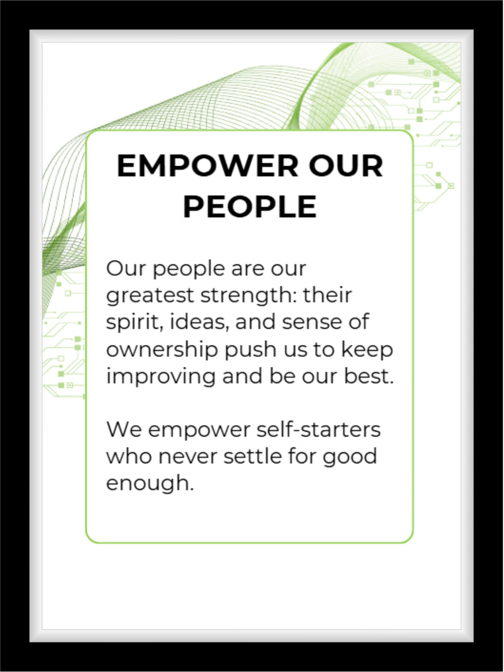 DSM Company Values